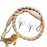 Giocattoli Arrampicata per Paguri - per Animali Domestici Con, per Terrario Di...