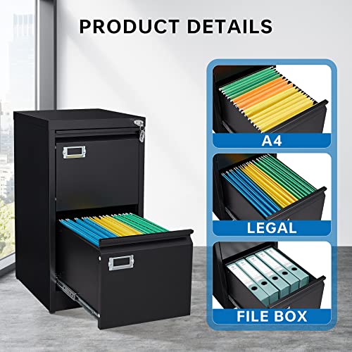Bynsoe 2 Drawer File Cabinet With Lock Metal Vertical File Storage Cabinet Office Home Steel Vertical File Cabinet For A4 Legal/Letter Size Wide File Cabinet Locked,Assembly Required #TOP5