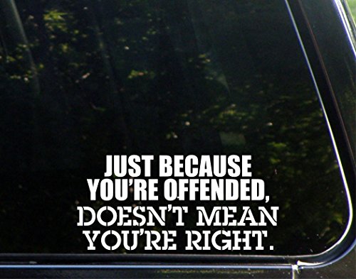 Sweet Tea Decals Just Because You're Offended, Doesn't Mean You're Right. - 8