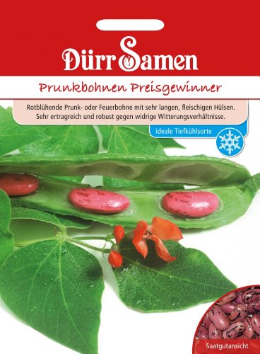 Prunkbohnen - Ganador de precios Cover