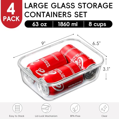 Snuvid 4-Pack 63oz Large Containers