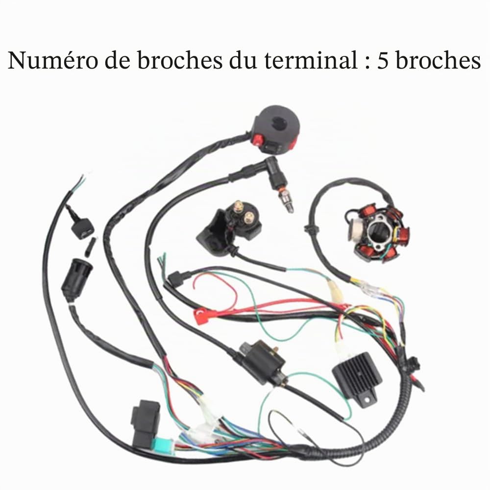 Riloer Faisceau de câblage CDI Kit d'allumage pour quad de démarrage électrique chinois 50 cc, 70 cc, 90 cc, 110 cc, 125 cc