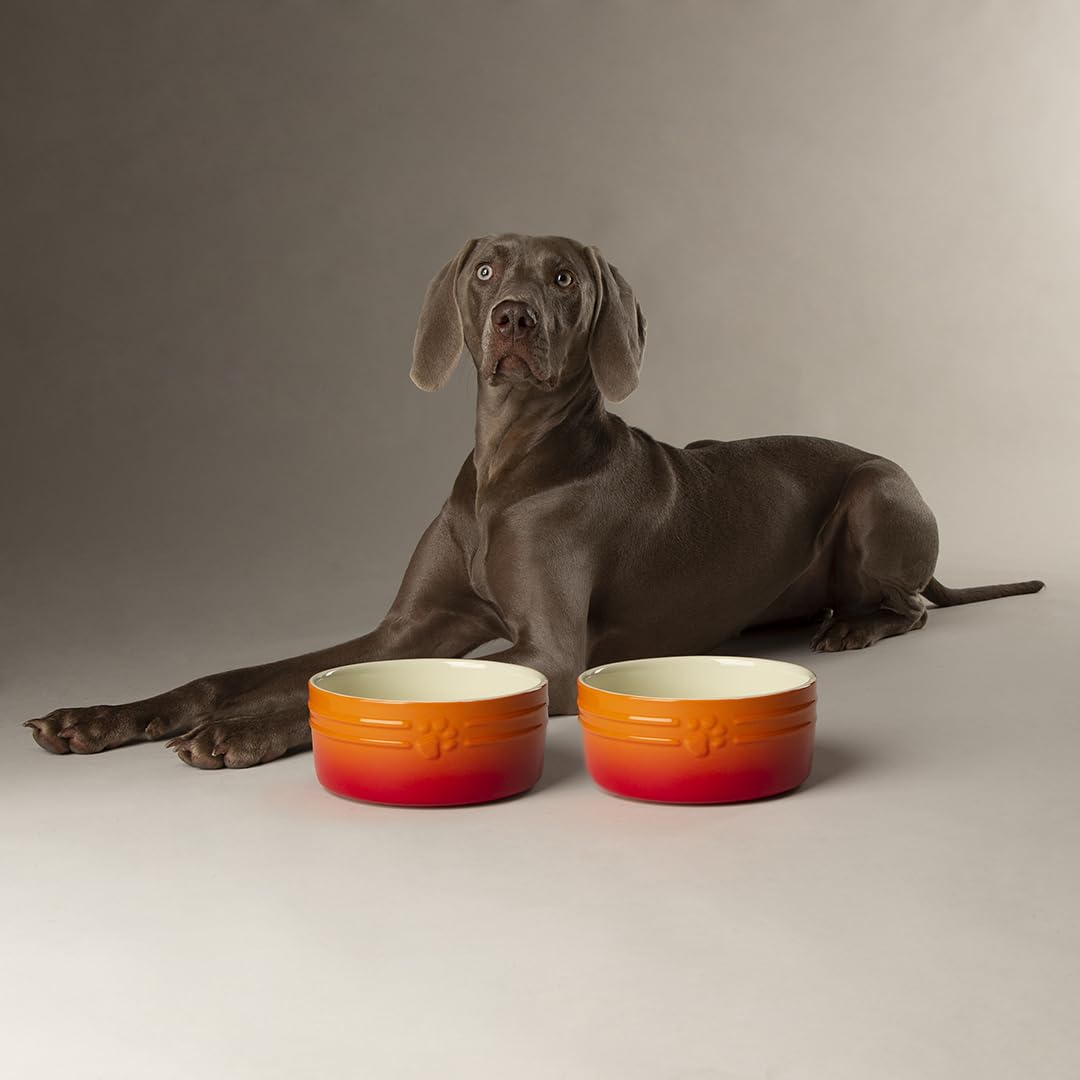 Scruffs Ombre 2pc Ceramic Dog Bowl Set - Orange 19cm — image 1