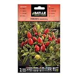 Semillas Batlle Pimiento Ornamental