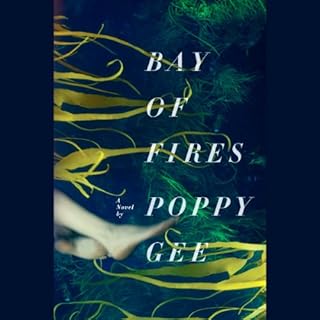 Bay of Fires Audiolibro Por Poppy Gee arte de portada