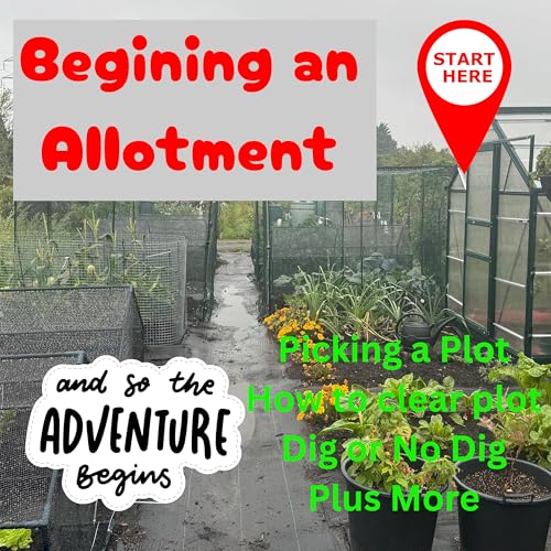 How to Start an Allotment