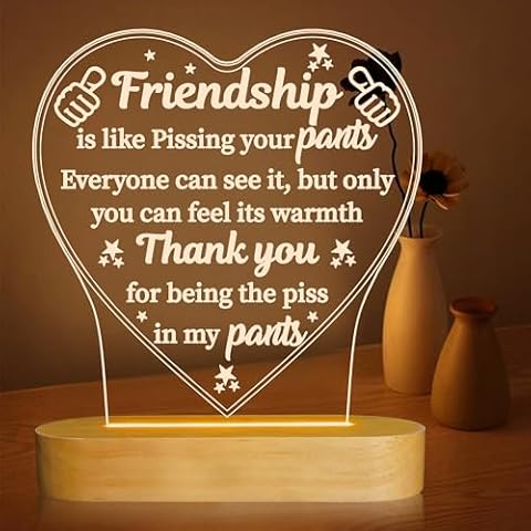Anywin Quirky Night Light Gift for Friends Cover