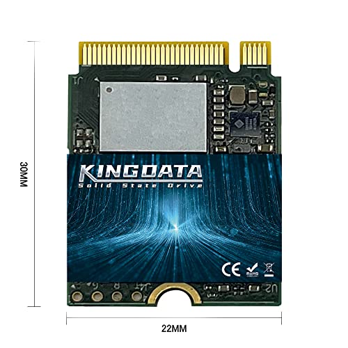 KINGDATA Unidad de Estado sólido Interna M.2 2230 SSD PCIe NVMe Gen 4.0X4 para PS5 Steam Deck, Microsoft Surface, Ultrabook, Ordenador portátil, Escritorio (M.2 2230 PCIe 4.0, 1TB)