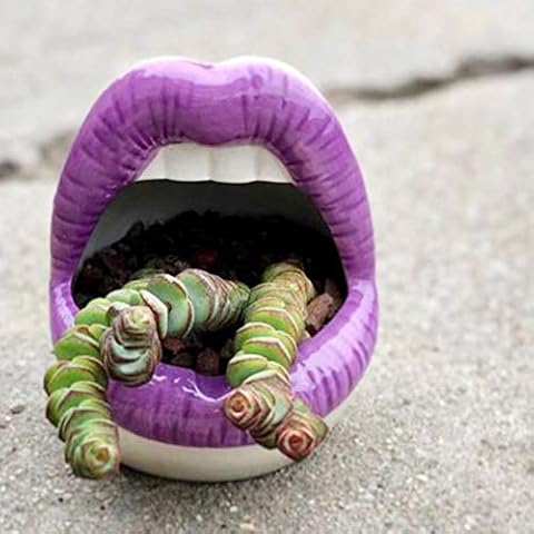 lemonadeus Multi-role Ceramic Sexy Lips Planter Stylish Lip Pot/Gadget Storage Mouth Planter Unique Ash Tray Ceramic Container (Purple) Cover