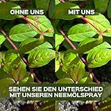 LERAVA Neemöl Spray (700 ml) – Pflanzenpflege mit Emulgator – Natürliches Mittel gegen Trauermücken & Blattläuse – Bio Blattpflege stärkt Pflanzenabwehr – Für Zimmerpflanzen & Garten - Neem Öl