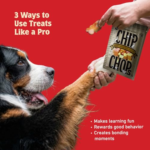 Image of Chip Chops All Life Stages Biscuit Twined with Chicken Dog Treat - Healthy, Digestible Snack for All Dog Breeds - Rich in Protein, Perfect for Training & Snacking - Pack of 2,140g Each