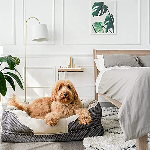 Asfrost Dog Bed Orthopedic Dog Bed，Bolster Dog Beds For Small / Medium / Large Dogswith Solid Orthopedic Foam- Soft Washable Pet Bed Breathable Rectangle Sleeping Bed Anti-Slip Bottom（L-41X28 In） #TOP6