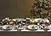 Spode Christmas Tree Sculpted Square Dish - 5.5