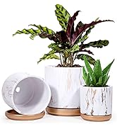 Modern Terracotta Pots for Plants, 4 Inch 5 Inch 6 Inch, Succulent Planter Pots with Drainage and...