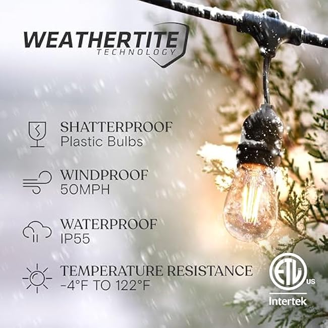 Brightech Ambience Pro - Waterproof LED Outdoor String Lights - 7 Hanging, Dimmable 2W Vintage Edison Bulbs - 24 Ft Commercial Grade Patio Lights Create Cafe Ambience in Your Backyard