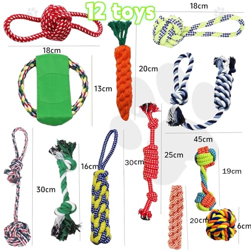 Aoksily 12 Pcs Hundespielzeug Set,Robustes Hundespielzeug,Welpenspielzeug Hund,Kauspielzeug Welpe Für Kleine Mittelgroßen Hund Interaktives Spielset Unzerstoerbar BaumwollknotenTau Tier