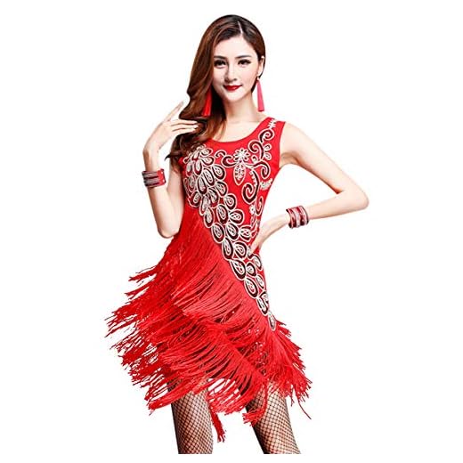 ZX Dancewear Women 1920s Gatsby Sequin Embellished Fringed Flapper Latin Dress X-Large Red