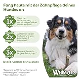 WHIMZEES Reisknochen M/L, 9 Stück – Größe M/L, Kaustangen für mittelgroße und große Hunde zur Zahnpflege, Getreidefrei, Natürlich, ohne Zuckerzusatz