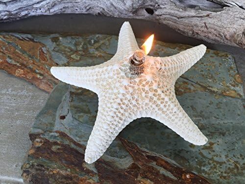 Starfish Candles - Unique Natural Oil Lamps for Indoor & Outdoor Decorative Lighting and Coastal Home Decor