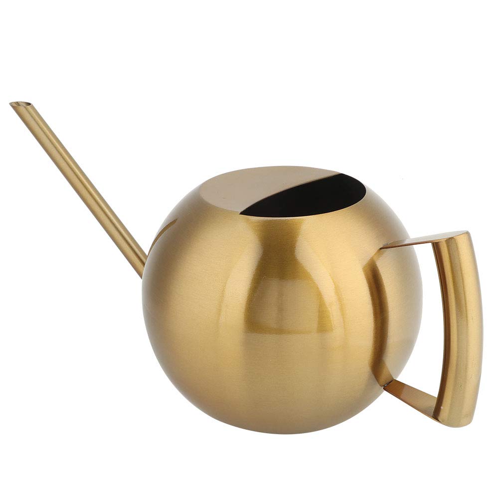 Arrosoir pour Plantes d'Intérieur, 1000 Ml/33 Oz en Acier Inoxydable à Bec Long, Arrosoir de Jardin pour Bonsaï, Fleurs de Jardin, Plantes, Outil de Fleur(Or)