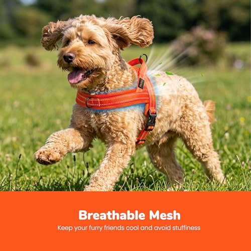 Image of Didog No Pull Dog Harness for Small Dogs, Breathable Mesh Padded, Orange, S | Quick Fit, Easy On and Off, Lightweight, Reflective Vest Harness for Night Safty, Easy for Walking and Training, Chest 18-22 inch