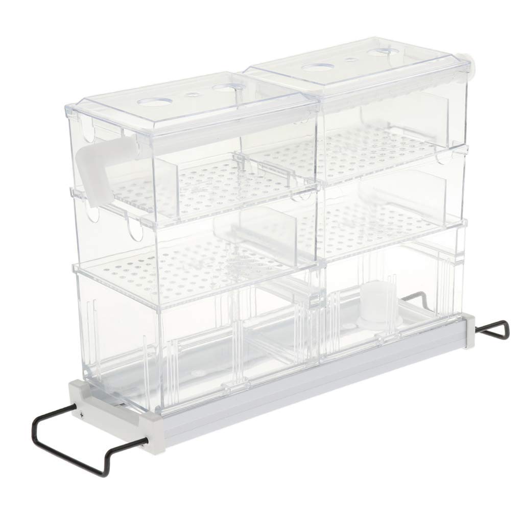 Transparent Aquarium Filter Box Filterkasten Fish Tank Filterausstattung