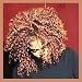 The Velvet Rope