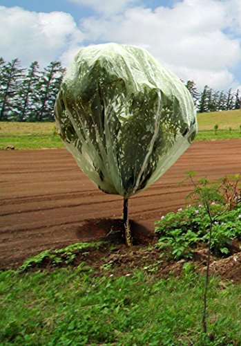 Tierra Garden 50-3530 Haxnicks 13.1' x 13.1' Fruit Tree Cover, Easy to Use, Cover and Protect Plants from Harsh Weather, Animals, and Pests