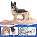 Totsmile 9 PCS Medium Realistic Dog Figurines Set, Pet Animal Toys Figures for Kids, Educational Dog Toy Animals Figurine, Cake Toppers, Learning Toys for Kids Party Favors & Classroom Props