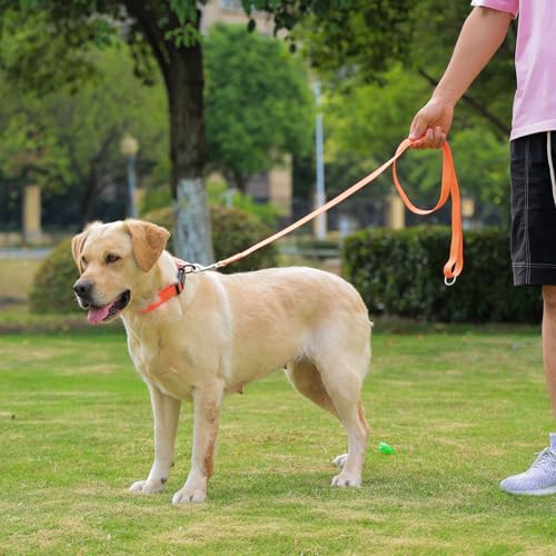 Nimble Wasserdichtes Hundehalsband, leicht zu reinigendes Gummihalsband mit Schnellverschluss, passend für kleine, mittlere oder große Hunde