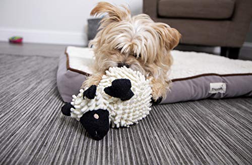 Godog Fuzzy Wuzzy Lamb Squeaky Plush Dog Toy, Chew Guard Technology - Assorted, Small #TOP5