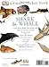 Ultimate Sticker Book: Shark and Whale