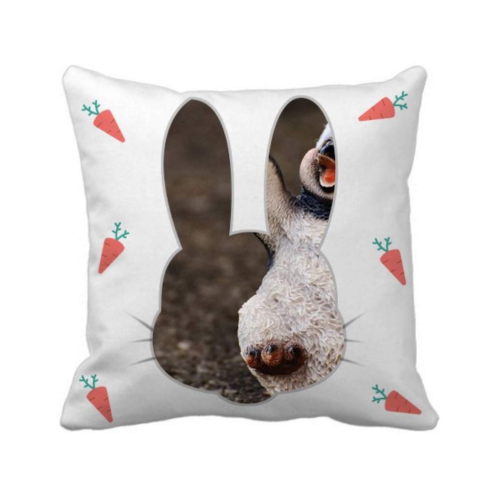 Housse de coussin pingouin de Noël carrée pour décoration canapé de fête