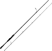 HANDING Bass Fishing Rod with Fuji Guides
