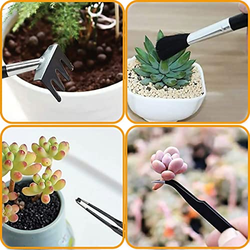 Bonsai Tools Set, 17 Pcs Gardening Succulent Tree Indoor Beginner Tool Kit,Include Bonsai Wire, Plant Repotting Mat, Leather Bag, Bonsai Scissors, Pruning Shears, Gardening Gifts For Bonsai Starter #TOP4