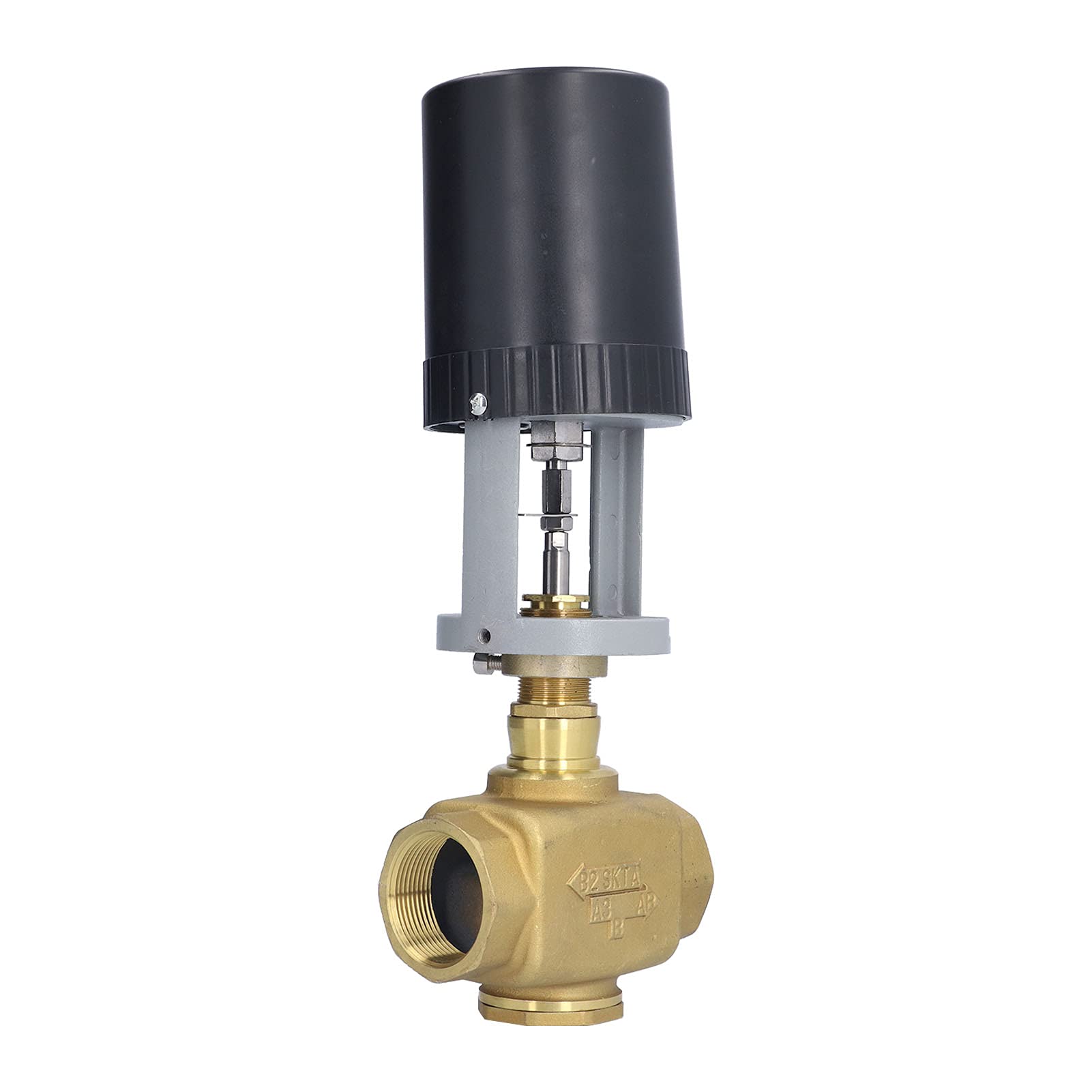 Rengue Válvula Motorizada Eléctrica 2 Vías, Latón BSP 220V CA para