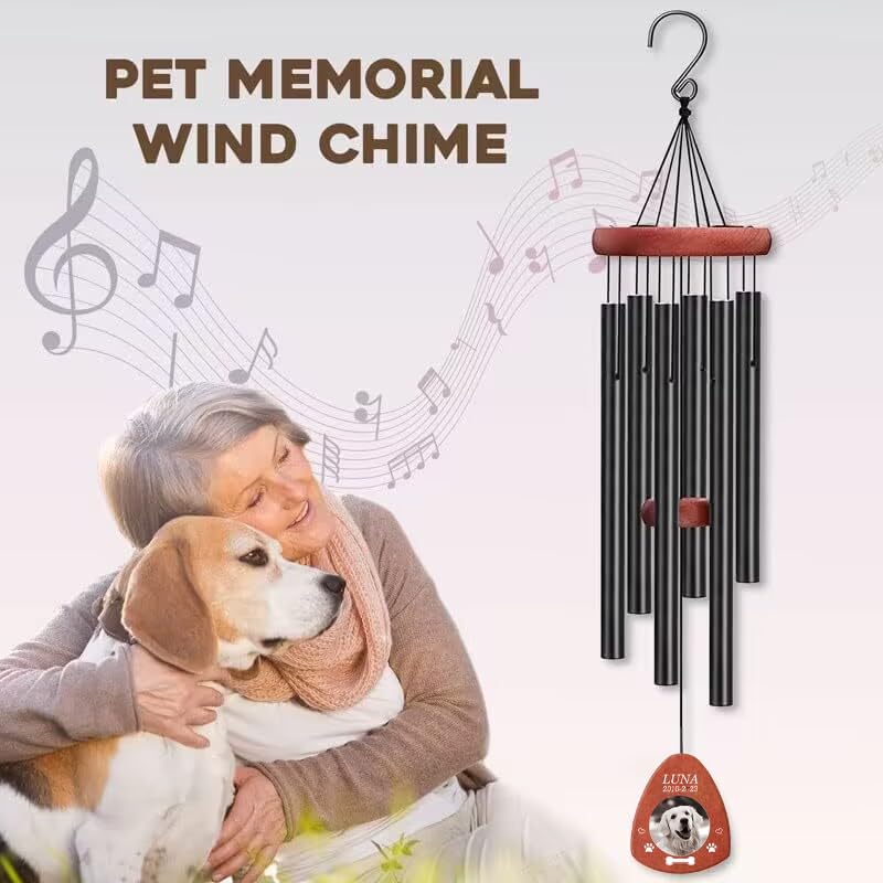 Collier Pendentif Personnalisé Nom Chat Collier Commémoratif - Temu France