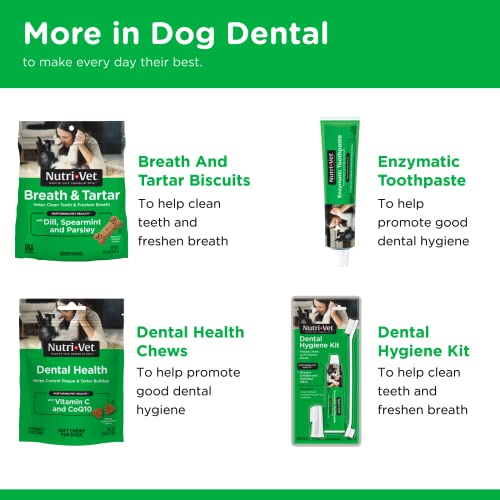 Image of Nutri-Vet Enzymatic Dog Toothpaste, Plaque Remover for Teeth, Dog Breath Freshener, Tooth Whitening, Puppy Essentials, Made in The USA, Non-Foaming Chicken Flavor, 2.5 oz (Pack of 2)