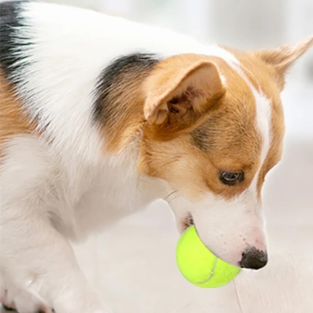 Máquina Interactiva Divertida Catapulta Interactiva Divertida Lanzador de Pelotas de Tenis para Perros Recargable Persigue A Perros Juguetes Automáticos A