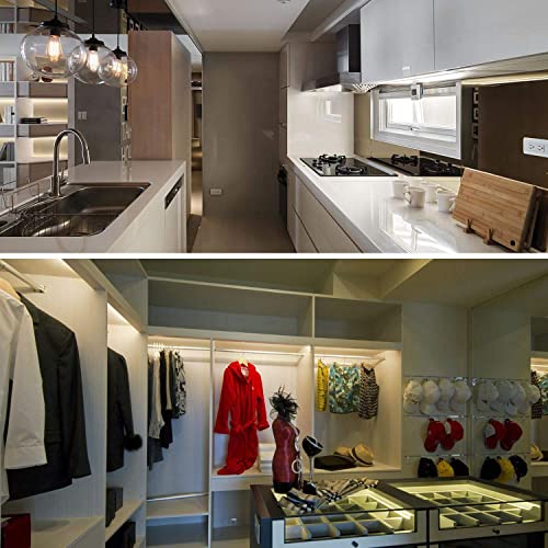 T8 T10 T12 2Ft Led Light Tube - 8W Led Replacement For 24 Inch Fluorescent Bulb, 20W Equivalent, 1120Lm, 5000K Daylight White, Ballast Bypass, Dual-End Powered, Frosted Cover (Pack Of 4) #TOP4