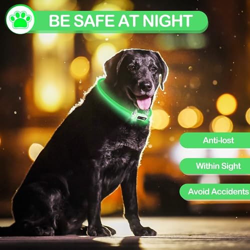 Collare Luminoso per Cani Yordawn Ricaricabile USB...