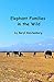 Elephant Families in the Wild: How do Elephant Families Live in the Wild?