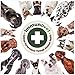 Dog Supplement Powder | Fermented Wheat Germ Extract | Boosts Immunity, Gut Health & Energy | Natural Pet Supplement for All Dog Ages | Non-GMO, Vet Trusted, Safe Formula- 90g