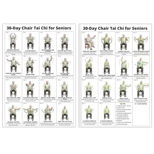 Daily Partner Tai Chi Chair Workout Chart for Seniors Printable Wall Exercise Chart 30-Day Seated Tai Chi Routine Easy Step-by-Step Fitness Guide for Home & Rehab (2PCS)
