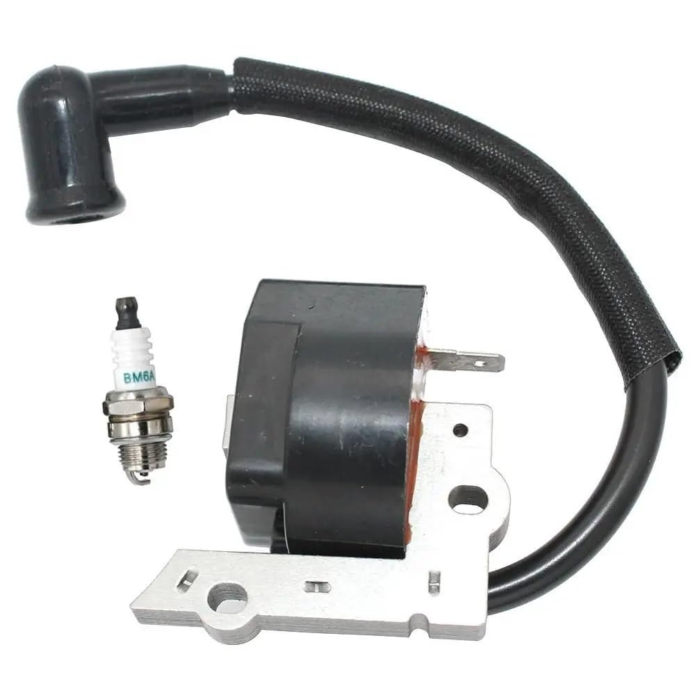 Compatible con determinados Modelos, incluidos XT125K X T125T WT3100 BC30B 176 196 PP111 Equipo de energía Exterior