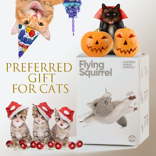 Vealind Hanging Cat Toys Interactive Flying Squirrel Mouse With Catnip, Automatic Toy Electric Toy With Flapping Wings For Indoor Kittens Usb Rechargeable #TOP6