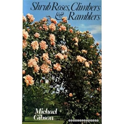 Shrub Roses, Climbers and Ramblers