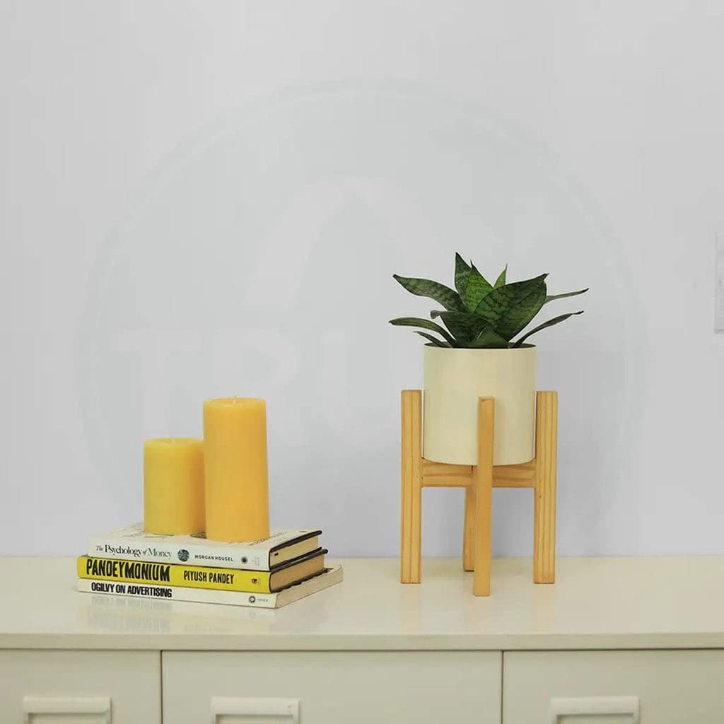 TrustBasket Glare Mid Century Stand with Pot for Indoor Plants & Flowers | Matte finish | Home Decor Planter for Living Room | Rust-Free Metal Planter (B0BHP4NTMS) Amazon Price History, Amazon Price Tracker