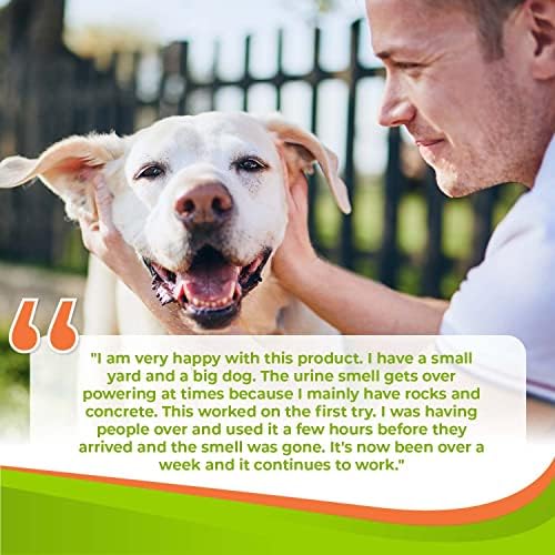 Price [price_with_discount]