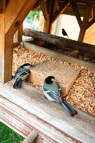 Energieblock Vogelfutter Wildvögel Ganzjährig – mit proteinreichen Insekten– Fettfutter für Wildvögel und Eichhörnchen, Fettblock mit Mehlwürmern – Wildvogelfutter, 12 x 300g